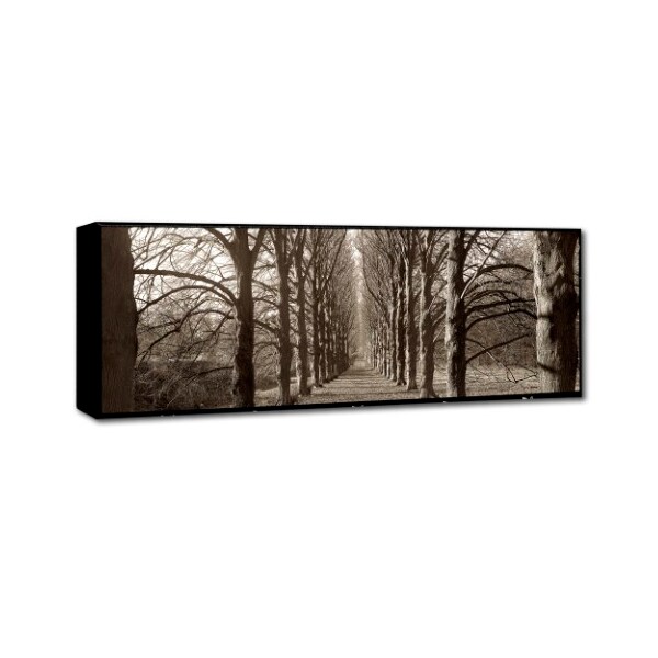 Alan Blaustein 'Hampton Gates Promenade I' Canvas Art,8x24